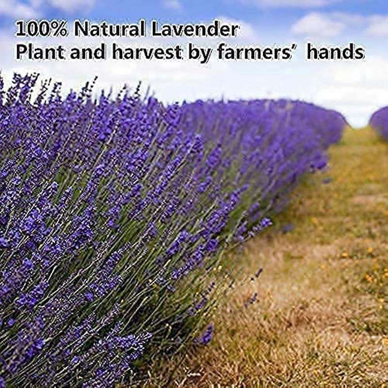 Dried Lavender Bundles for Home Decoration,photo Props,2 Bundles Pack