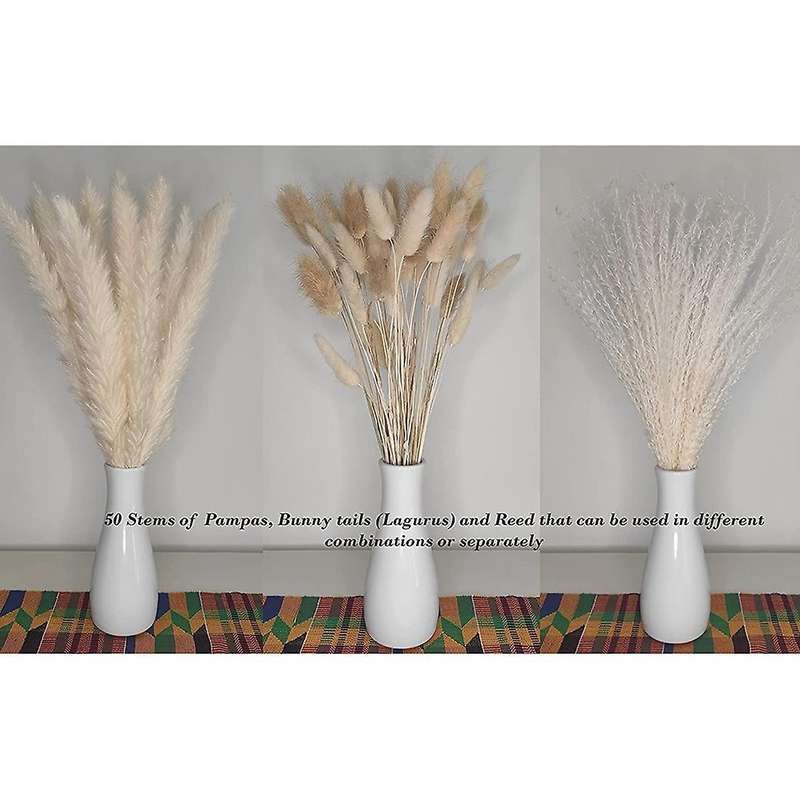 Bouquet, Reedand Bunny Tails Total 50 Stems for Flower Arrangement