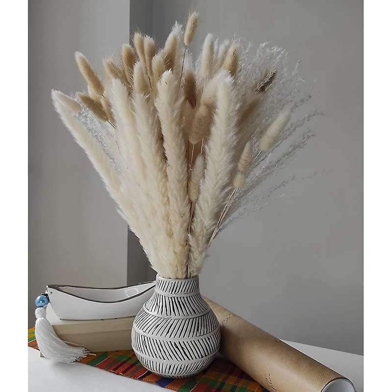 Bouquet, Reedand Bunny Tails Total 50 Stems for Flower Arrangement