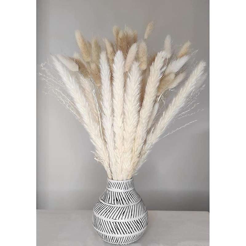 Bouquet, Reedand Bunny Tails Total 50 Stems for Flower Arrangement