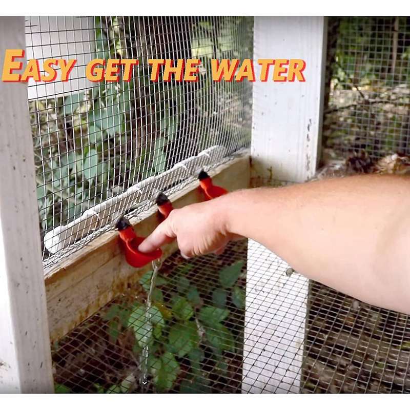 Chicken Waterer Cups, Chicken Waterer for Chicken Ducks Quail 6pcs