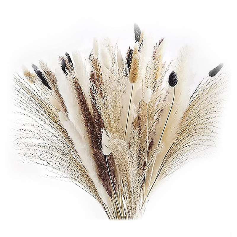 70pcs Pampas Grass Natural Dried Bouquet for Home Decor, for Women