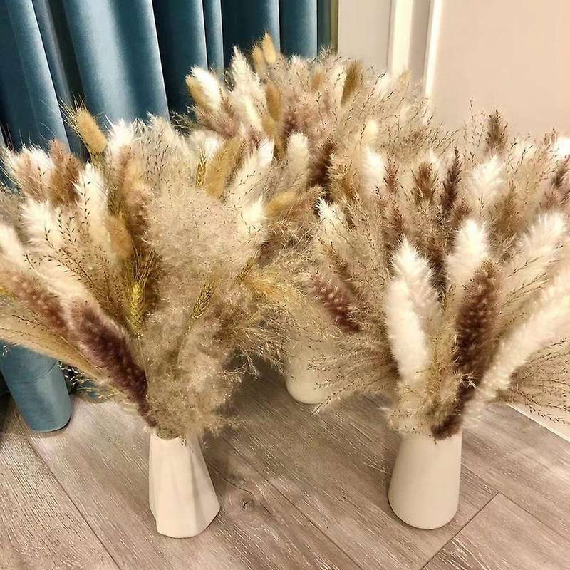 70 Pcs Dried Pampas Grass Decor, for Home & Wedding Boho Decor
