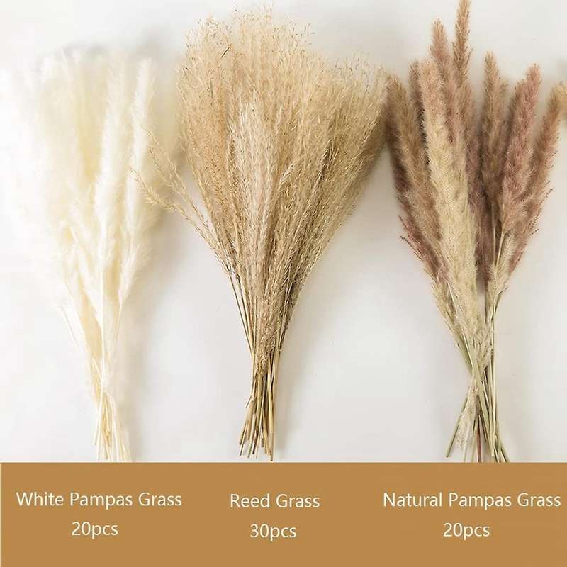 70 Pcs Dried Pampas Grass Decor, for Home & Wedding Boho Decor