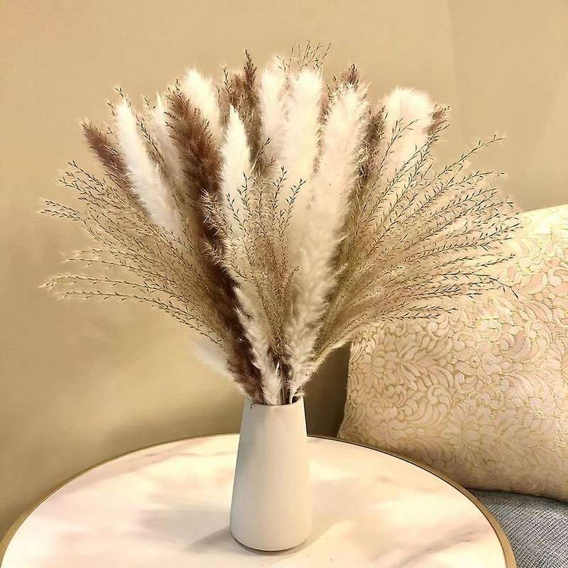 70 Pcs Dried Pampas Grass Decor, for Home & Wedding Boho Decor
