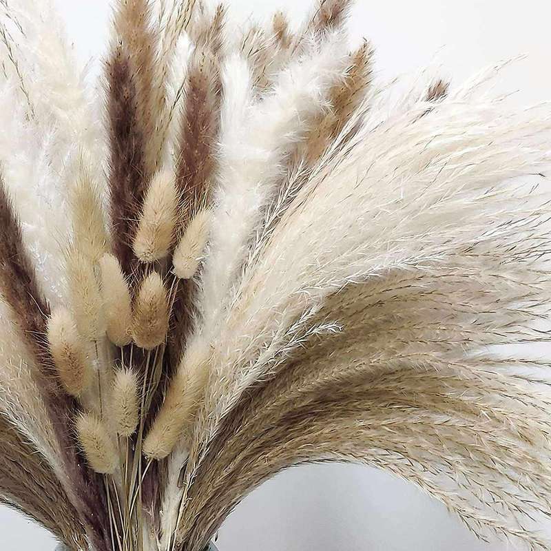 80pcs Dried Pampas Grass Decor 17.32 Inch Pampas Grass for Home Decor