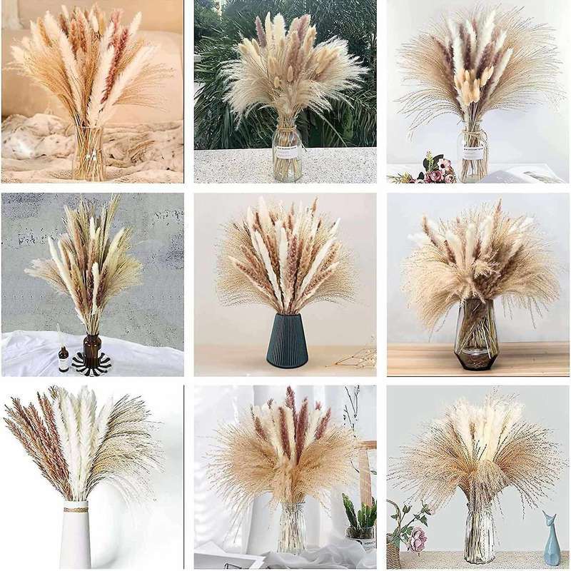 80pcs Dried Pampas Grass Decor 17.32 Inch Pampas Grass for Home Decor