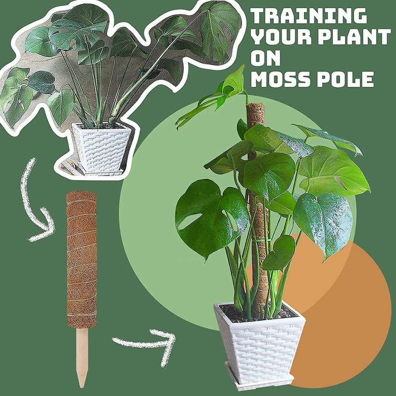 Moss Pole Plant Support.26.6 Inch Moss Sticks for Indoor Plants