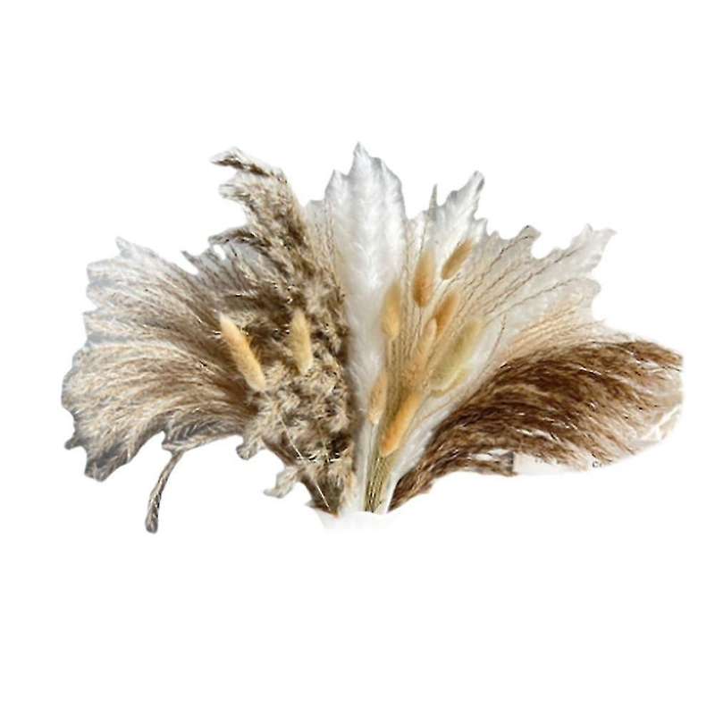 72 Pcs Reed Pampas Set Dried Flower for Arrangements Home Decor