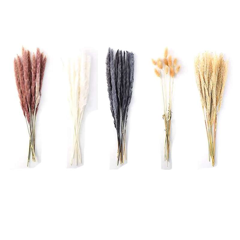 Natural Dried Pampas Grass 70pcs, 10pcs Fluffy Grass 20pcs Reed Grass