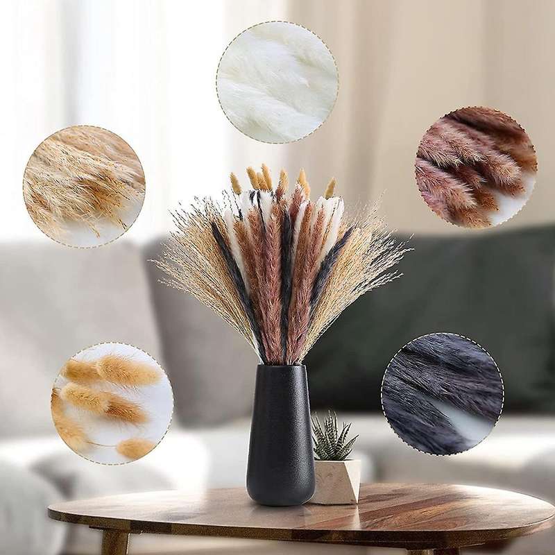 Natural Dried Pampas Grass 70pcs, 10pcs Fluffy Grass 20pcs Reed Grass