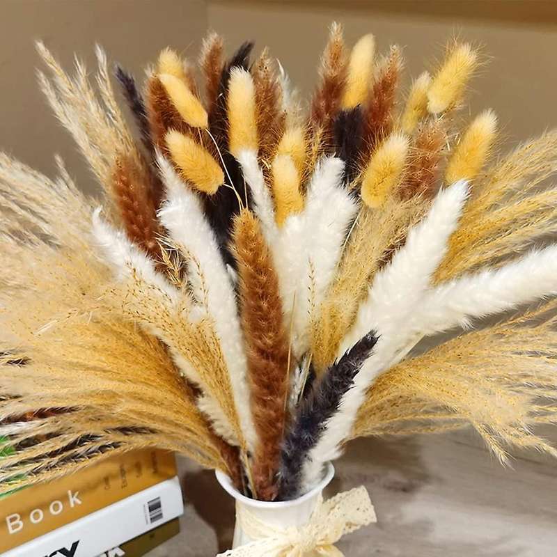 Natural Dried Pampas Grass 70pcs, 10pcs Fluffy Grass 20pcs Reed Grass