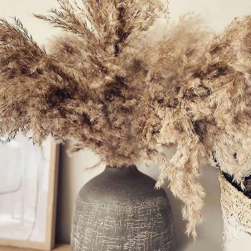 Boho Decor Pampas Grass Fluffy Pompous 30-stems Small Dried Flowers