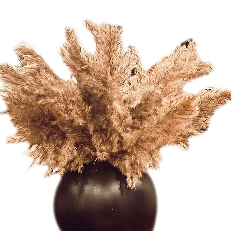 Boho Decor Pampas Grass Fluffy Pompous 30-stems Small Dried Flowers