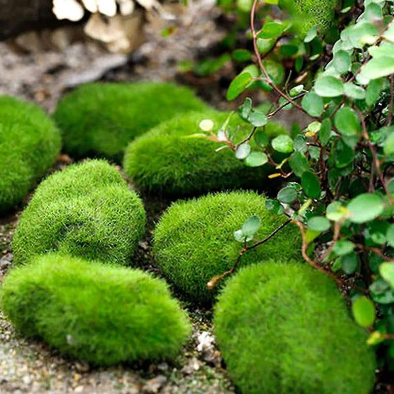 Faux Green Moss Covered Stones,for Floral Arrangements,fairy Gardens