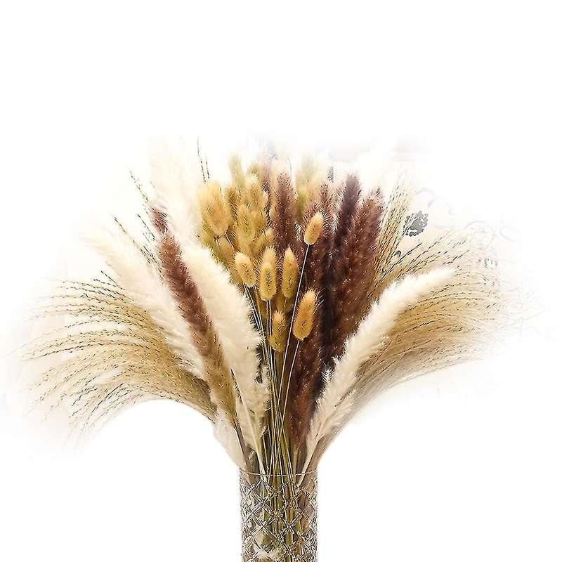 Dried Pampas Grass Decor, 80pcs Pampas Grass Bouquet,17.5 Inch Grass