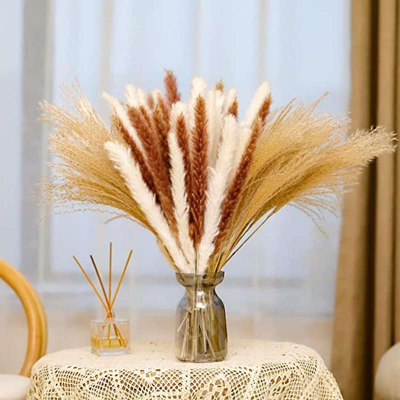 65pcs Natural Dried Pampas Grass,pampas for Boho Home Decor,for Women