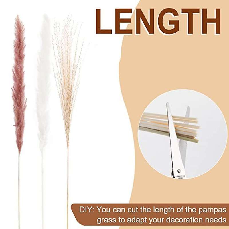65pcs Natural Dried Pampas Grass,pampas for Boho Home Decor,for Women