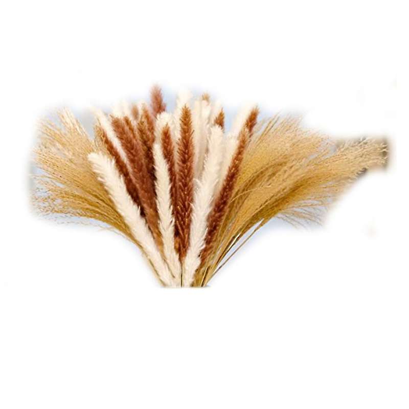 65pcs Natural Dried Pampas Grass,pampas for Boho Home Decor,for Women