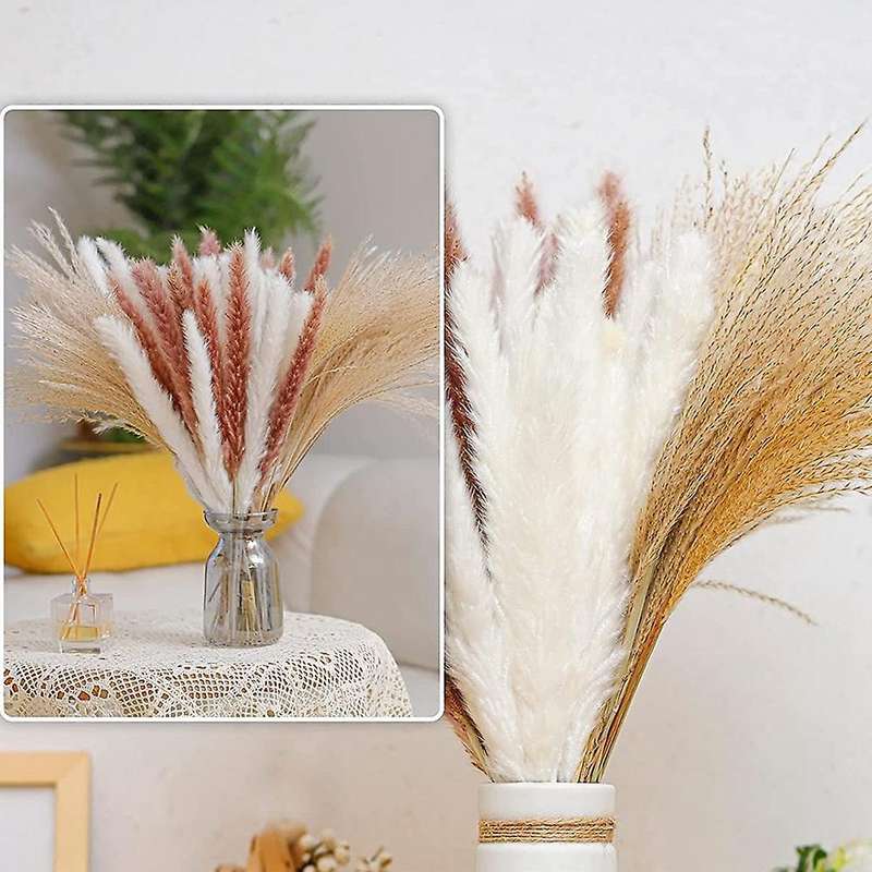 65pcs Natural Dried Pampas Grass,pampas for Boho Home Decor,for Women