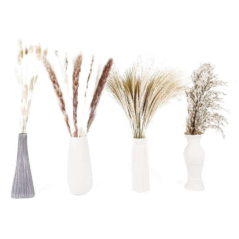 Pampas Grass, Dried Flowers,pampas Grass Velvet for Flower Home Decor