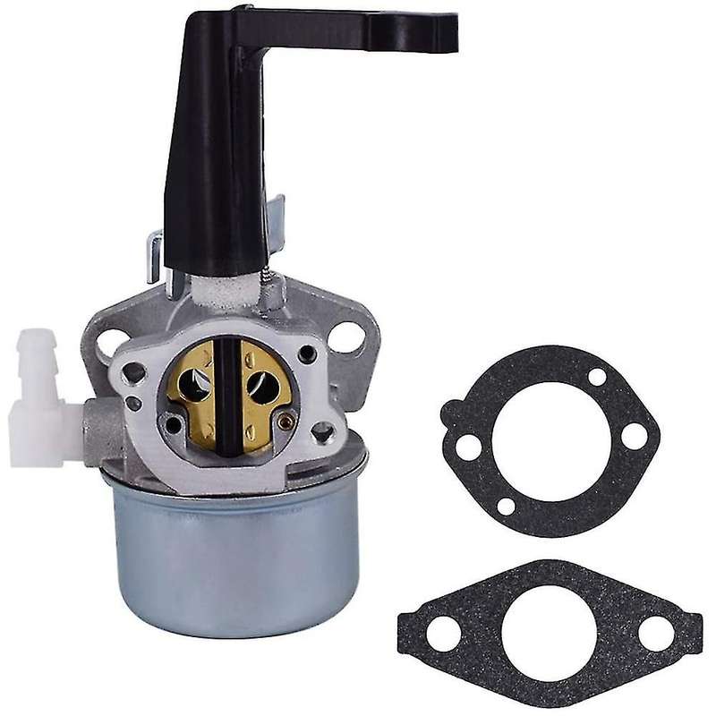 696065 697422 Carburetor with Gasket for Briggs & Stratton 110402