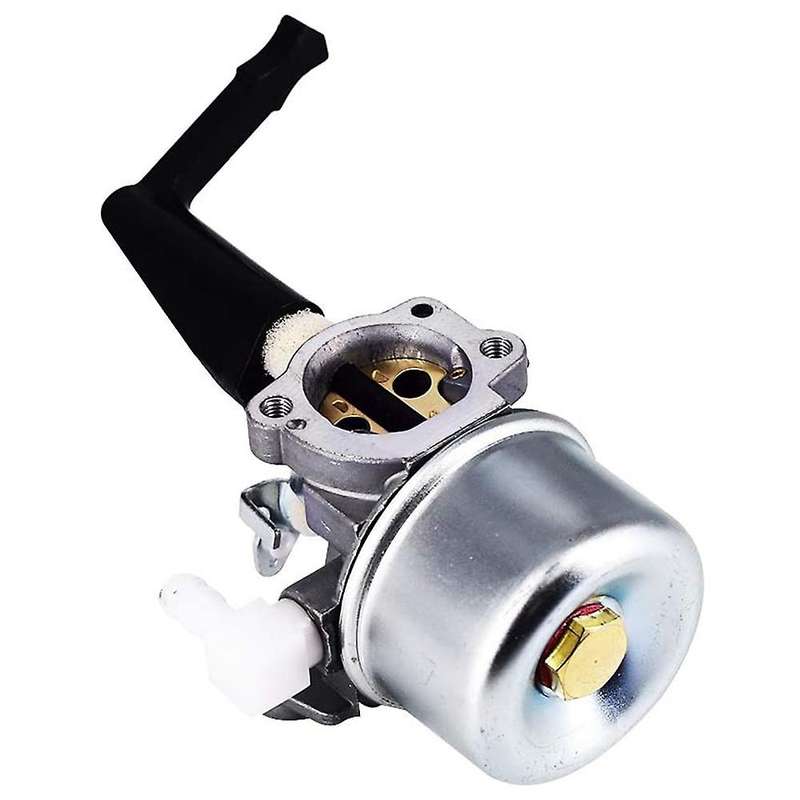 696065 697422 Carburetor with Gasket for Briggs & Stratton 110402