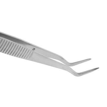 10Pcs 6inch Stainless Steel Dental Tweezers Surgical Lab Instruments Dentistry Tool