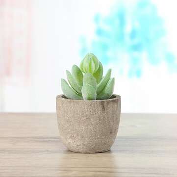12Pcs PVC Artificial Succulent Flocking Plants Foliage  Landscape Garden Decoration