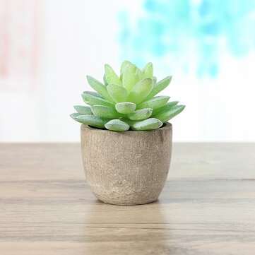 12Pcs PVC Artificial Succulent Flocking Plants Foliage  Landscape Garden Decoration