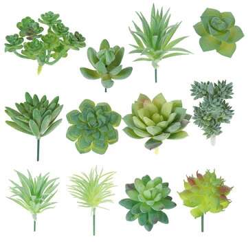 12Pcs PVC Artificial Succulent Flocking Plants Foliage  Landscape Garden Decoration