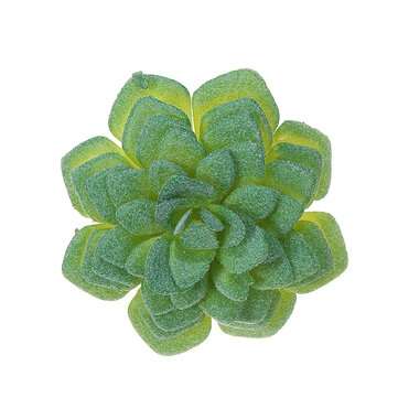 12Pcs PVC Artificial Succulent Flocking Plants Foliage  Landscape Garden Decoration