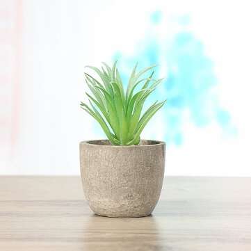 12Pcs PVC Artificial Succulent Flocking Plants Foliage  Landscape Garden Decoration