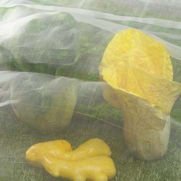 2.1x10m Insect Organic Net Garden Frosty Covers Fruit Tree Vegetables Protective Cover