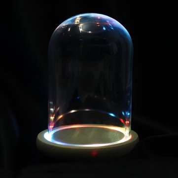 Clear Glass Display Flower Dome Bell Jar Cloche Wooden Base With LED Light Room Decora... (SIZE: #2)
