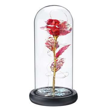 Crystal Galaxy Rose In The Glass Dome 20LED Lights Gift For Girlfriend Mom Wife Warm... (COLOR: RED)