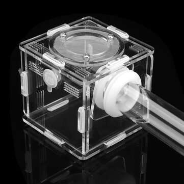 Glass Tubes Ant Nest with Active Zone Test Tube Nest House Acrylic