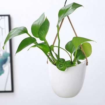 Hanging Rope Ceramic Flower Succulent Pot Planter Vase Home Garden Plant Pot Decor
