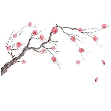 Miico FX64045 Plum Flower Wall Sticker Home Decorative Sticker DIY Sticker Living Room And Bedroom D