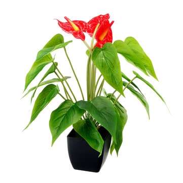 Potted Simulation Plant Lifelike 25 Leaves Evergreen Artificial Plant Bush Potted T... (COLOR.: RED)