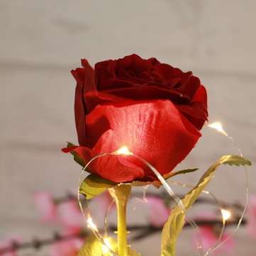 Red Forever Rose Glowing Flower Immortal Fresh Rose in Glass Mother`s day Decoration Toys