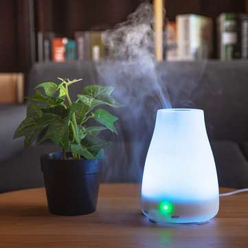 Ultrasonic Humidifier Waterless Auto Shut-off Oil Diffuser (PLUG: EUPLUG)
