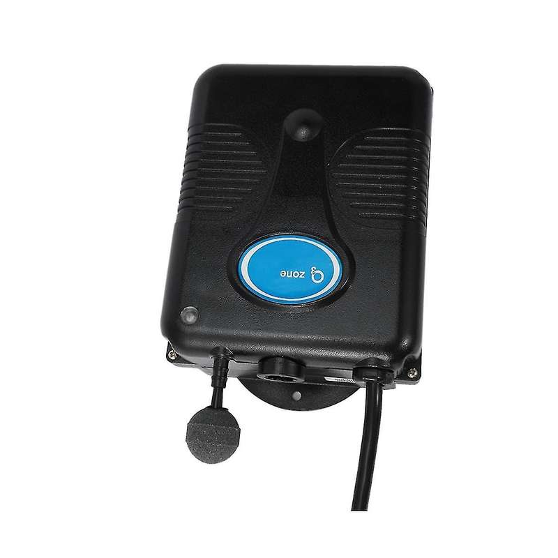 220v 300mg/h Ozone Generator Bathtub Shower Spa Swimming Pool Ozonizer Tub Pool Water Purifier Repla