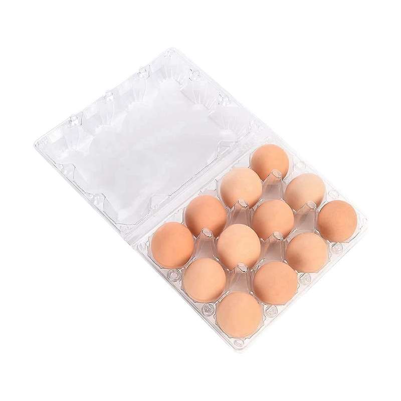 24 Pack Clear Plastic Farm Eggs Carton Storage Egg Dispenser Tray, Hotel Camping Picnic Travel Stor