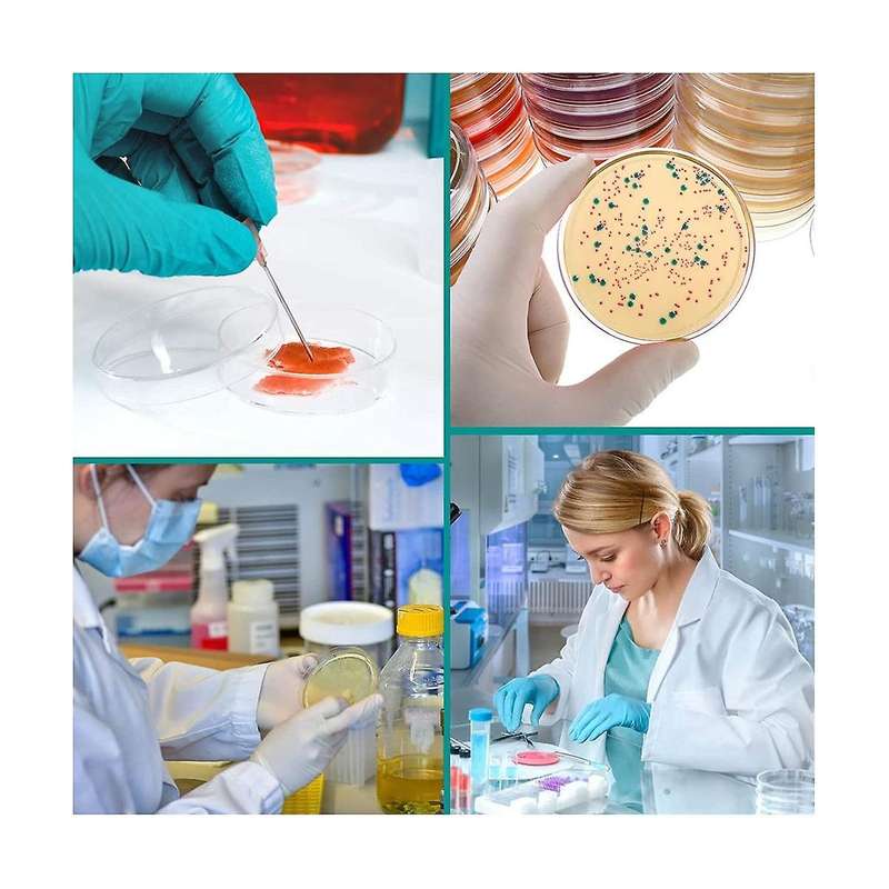 24 Pcs Sterile Plastic Deep Clear Dish for Lab Analysis, School Projects, Blood Samples,,seed Cell