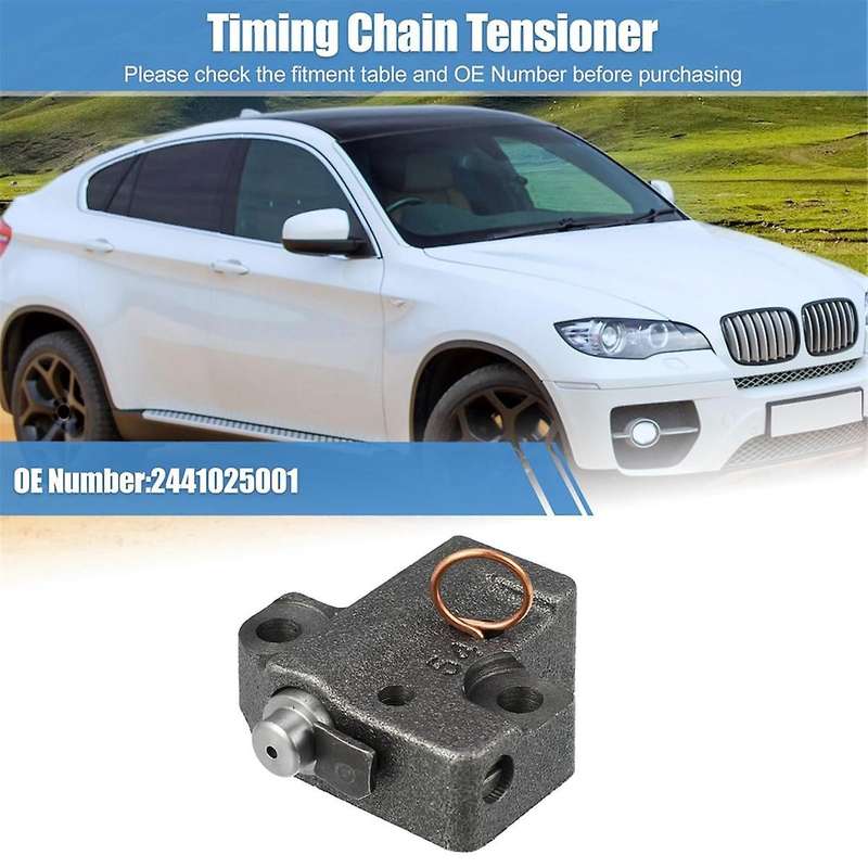 2441025001 for Ix35 3.3 3.5 3.8 Timing Chain Tensioner 244103C300