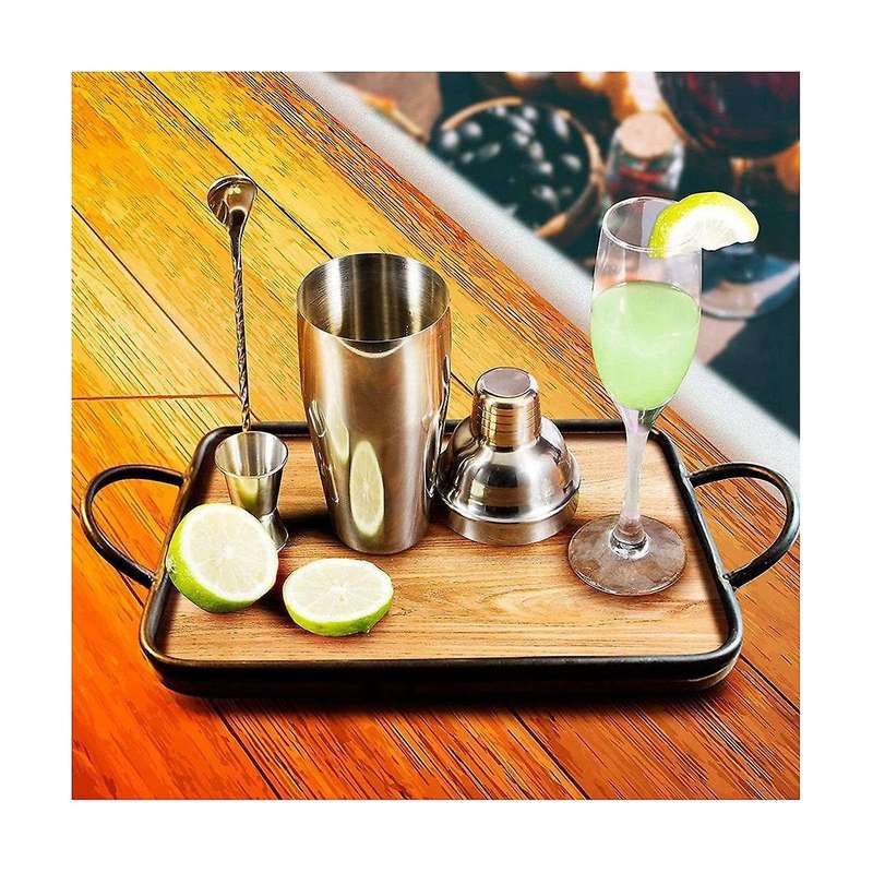 24oz Professional Beverage Mixer Bar Set - Professional Alcoholic Drinks Shaker and Gage & Mixing S