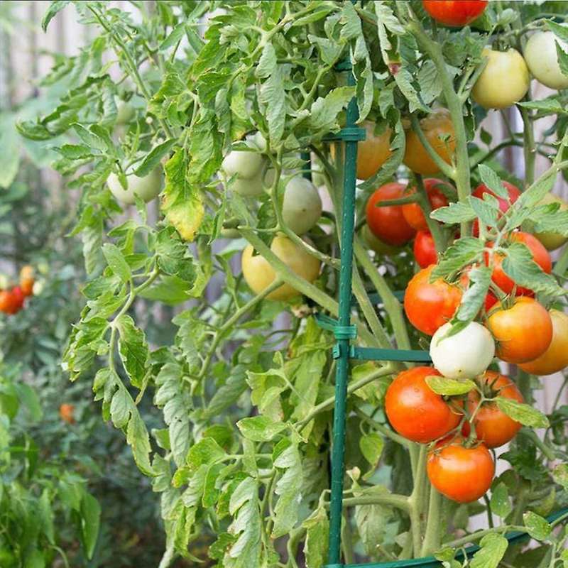 25 Pack Garden Stakes Metal Plastic Coated Plant Cage Supports Climbing for Tomatoes,Trees,Cucumber