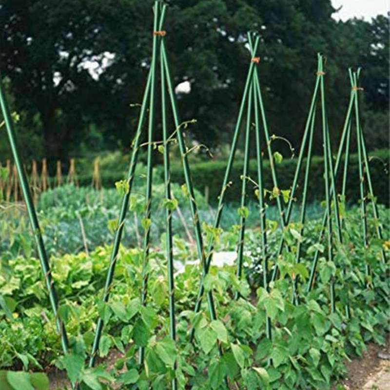 25 Pack Garden Stakes Metal Plastic Coated Plant Cage Supports Climbing for Tomatoes,Trees,Cucumber