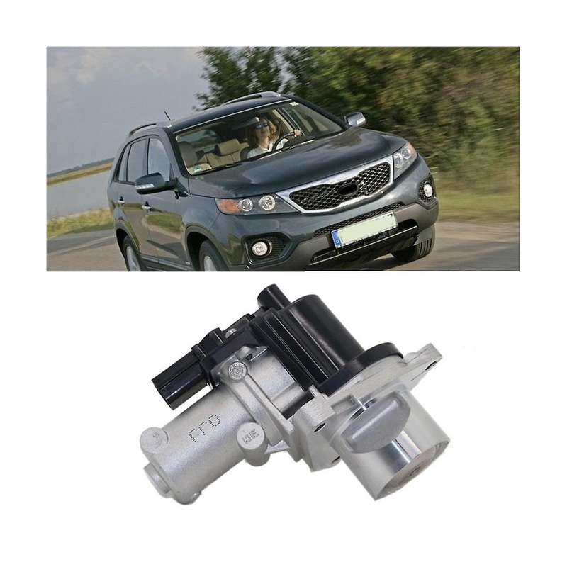 284102f000 2.0 2.2 Engine Egr Valve for Sedona Sorento 09-12 for 28410-2f000
